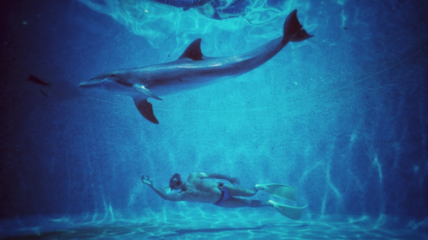 Dolphin Man. Το όμορφο σύμπαν της θάλασσας. Η ιστορία του δύτη Ζακ Μαγιόλ μέσα από φωτογραφίες