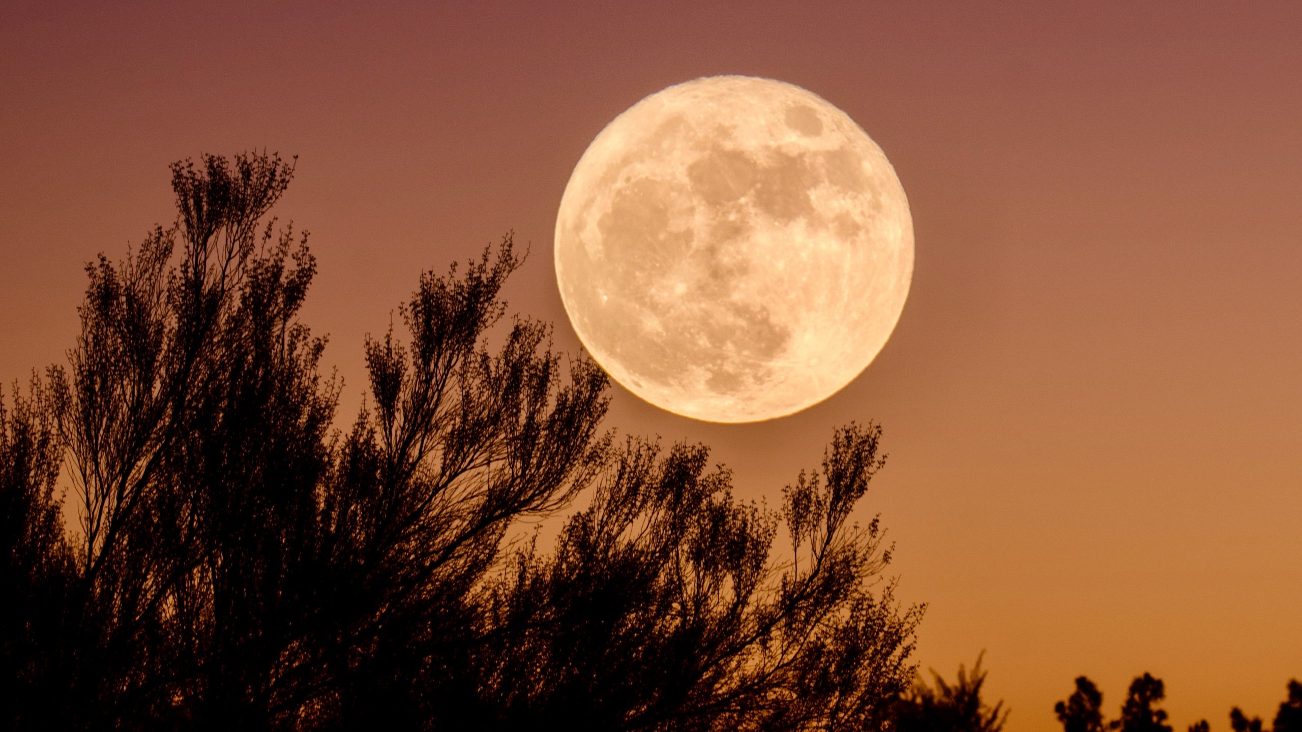 Το αυγουστιάτικο φεγγάρι, οι οπτικές απάτες και οι μύθοι της Σελήνης