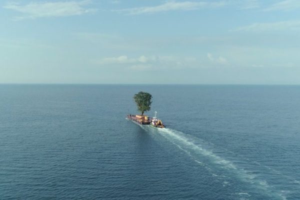 Η ταινία της βραδιάς – Δαμάζοντας τον Κήπο στο Κανάλι της Βουλής
