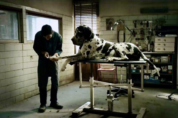 Το Dogman στο Ertflix είναι ο ορισμός του ψυχολογικού δράματος