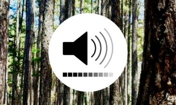 Εικόνα για άρθρο με τα 10 τραγούδια που ακούμε τον Νοέμβρη