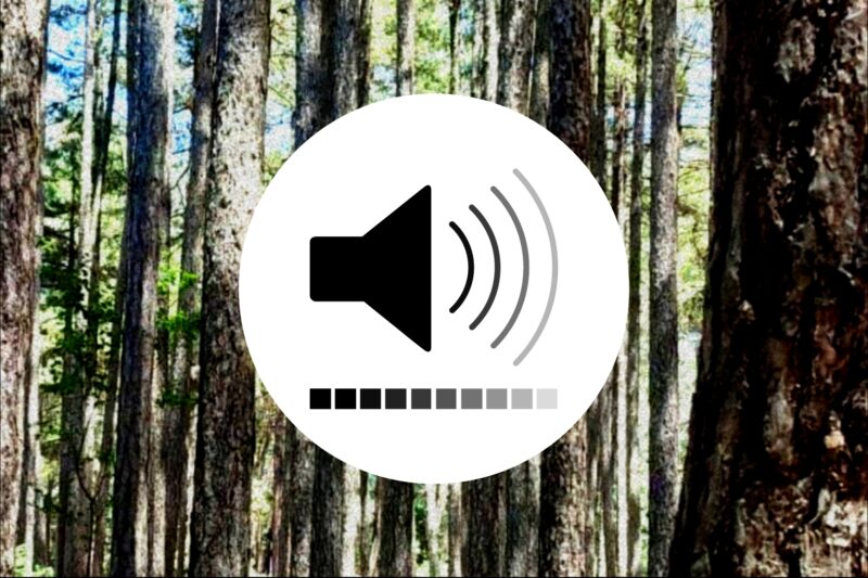 Μουσική | 10 tracks που ακούμε ξανά και ξανά τον Νοέμβρη